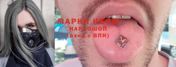 гашик Корсаков