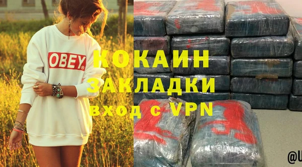 гашик Корсаков