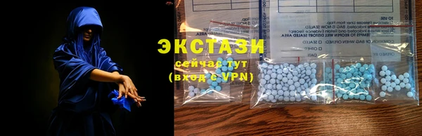 гашик Корсаков