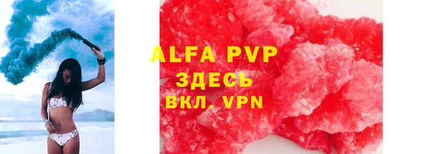 гашик Корсаков