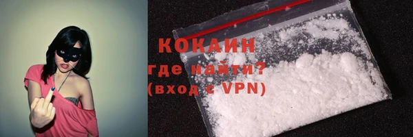 гашик Корсаков