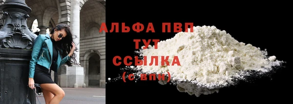 гашик Корсаков