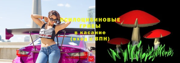 ECSTASY Санкт-Петербург