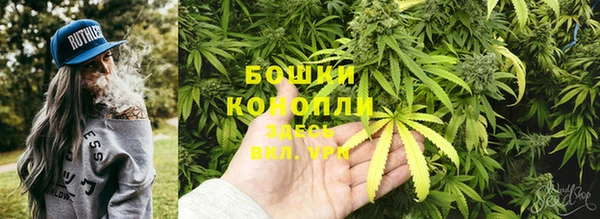 амф Костерёво