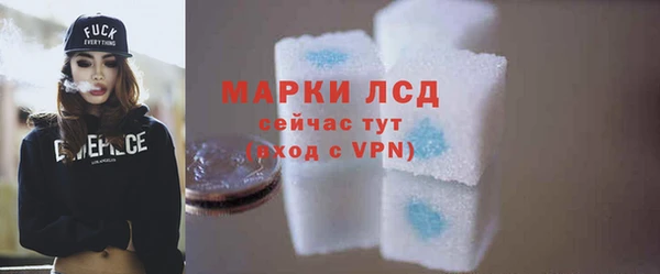 гашик Корсаков