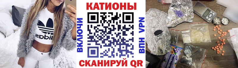 как найти   Белгород  МЯУ-МЯУ мяу мяу 